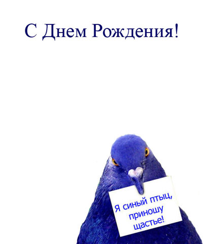 Прикольные поздравления с днем рождения
