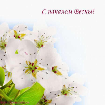 Поздравление с началом весны №5