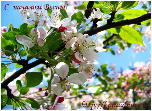 Поздравление с началом весны №7