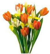 с 8 марта маме