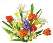 Стихи с 8 марта